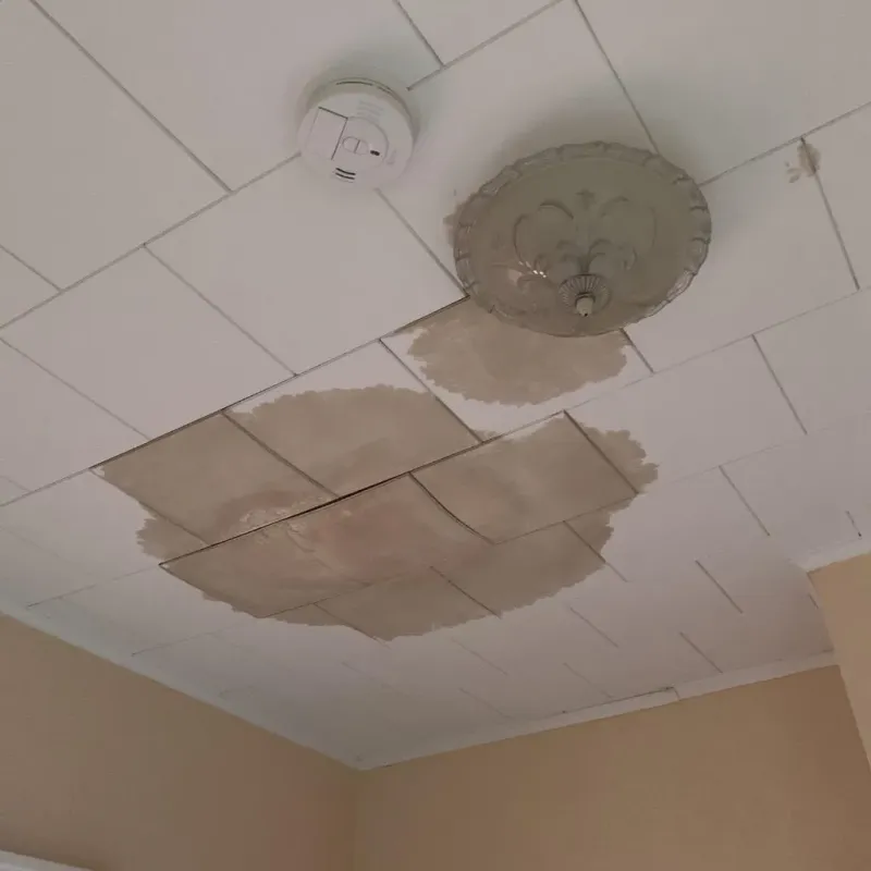 Ceiling Water Damage Repair in Chesterland, OH