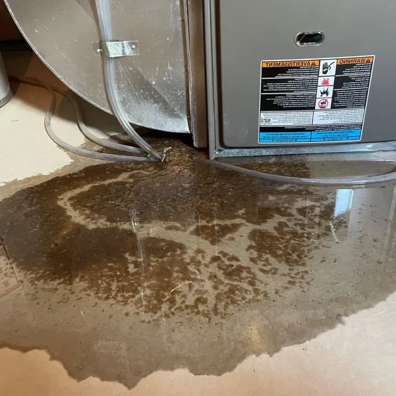 Pipe Burst and Leak Restoration in Chesterland, OH